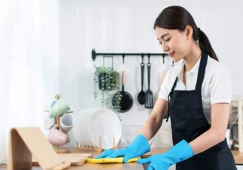 Maid Services 1