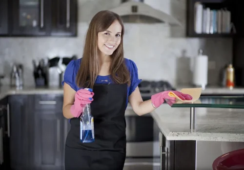 maid Service